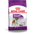 Nourriture Royal Canin Giant Adult Adulte Poulet 15 kg