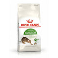 Aliments pour chat Royal Canin Active Life Outdoor Adulte Poulet 4 Kg