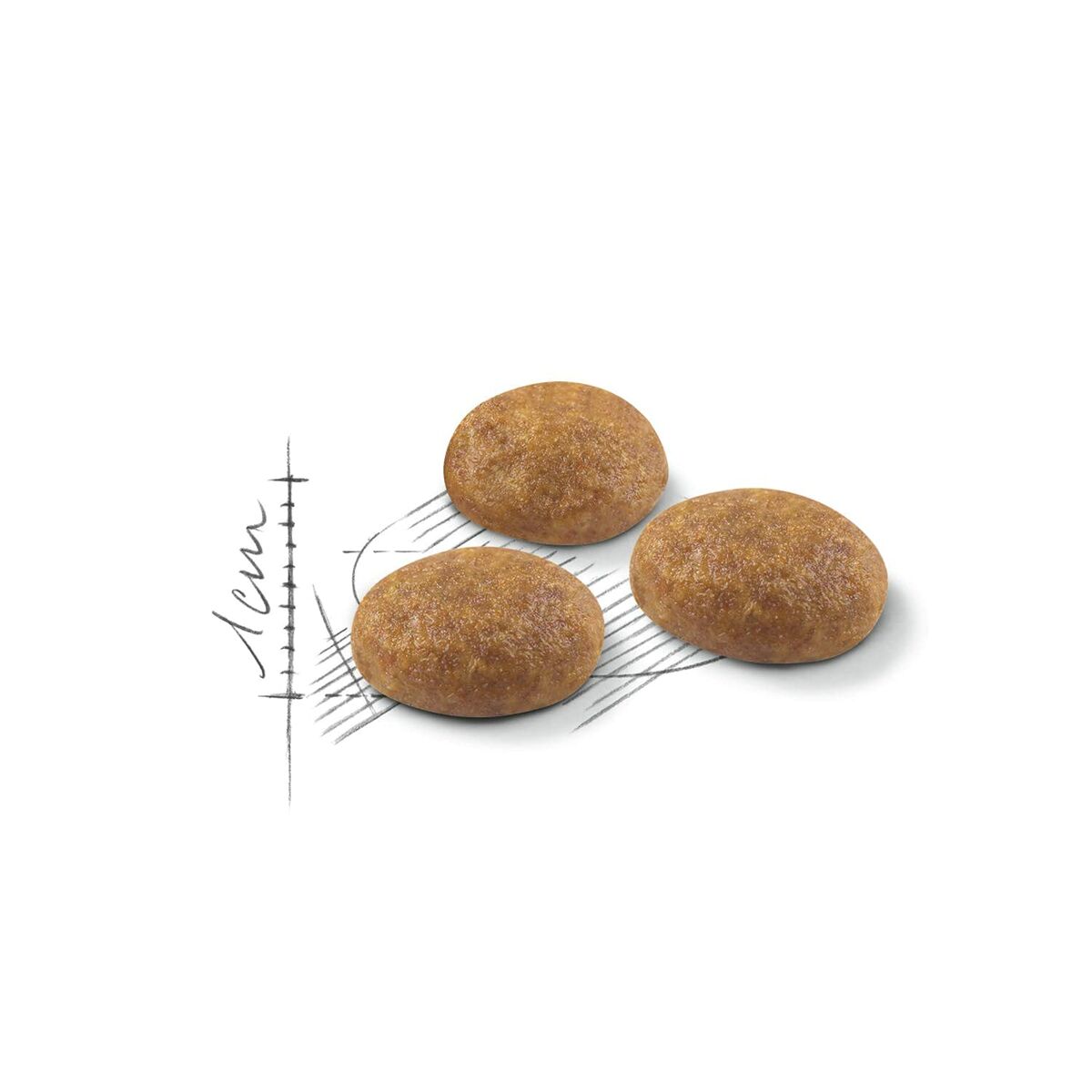 Aliments pour chat Royal Canin Active Life Outdoor Adulte Poulet 4 Kg
