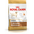 Nourriture Royal Canin Labrador Retriever Adult Adulte Poulet Riz 12 kg