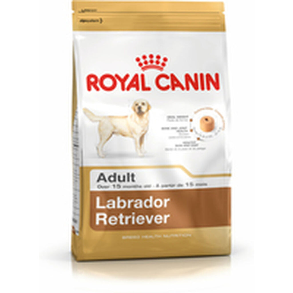 Nourriture Royal Canin Labrador Retriever Adult Adulte Poulet Riz 12 kg