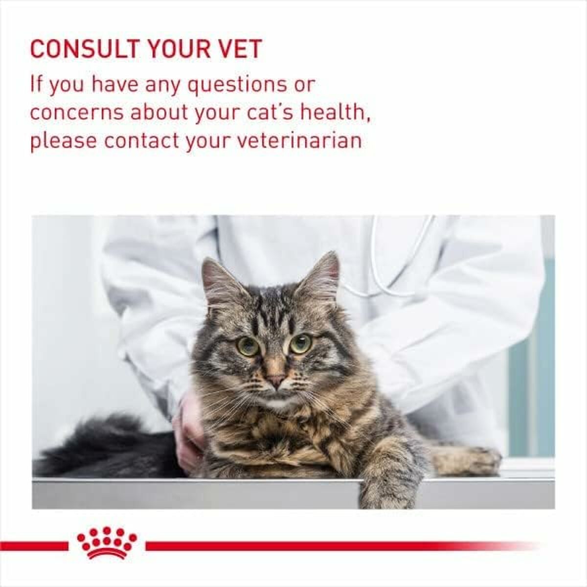 Aliments pour chat Royal Canin Adulte Poulet Riz Maïs Légumes 10 kg