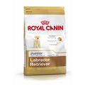 Nourriture Royal Canin Labrador Retriever Junior Petit/Junior Poulet Riz Maïs 12 kg
