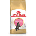 Aliments pour chat Royal Canin Maine Coon Kitten Poulet Riz 4 Kg