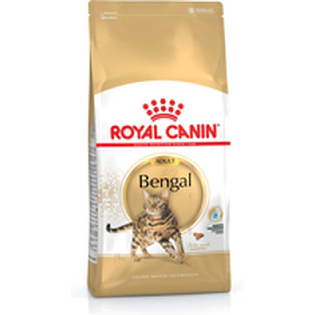 Aliments pour chat Royal Canin Bengal Adult Adulte Poulet Légumes 10 kg