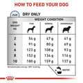 Nourriture Royal Canin Adulte Viande 3 Kg