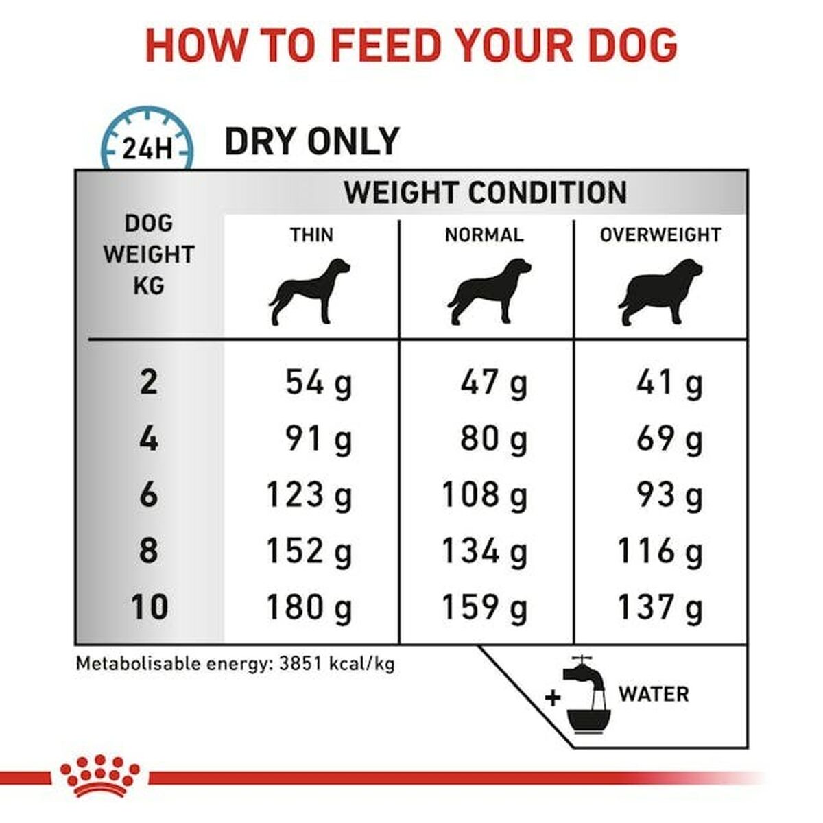 Nourriture Royal Canin Adulte Viande 3 Kg