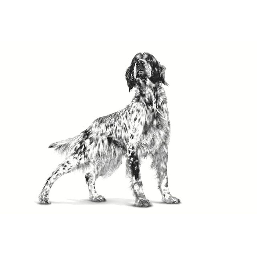 Nourriture Royal Canin Hepatic Adulte Viande 7 kg