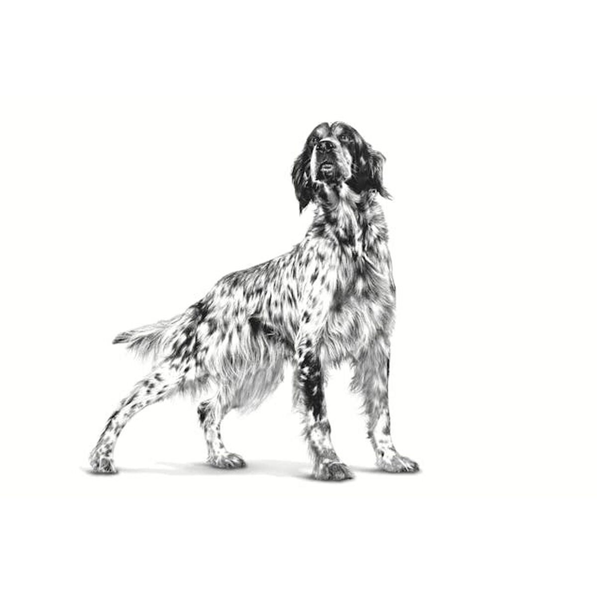 Nourriture Royal Canin Hepatic Adulte Viande 7 kg