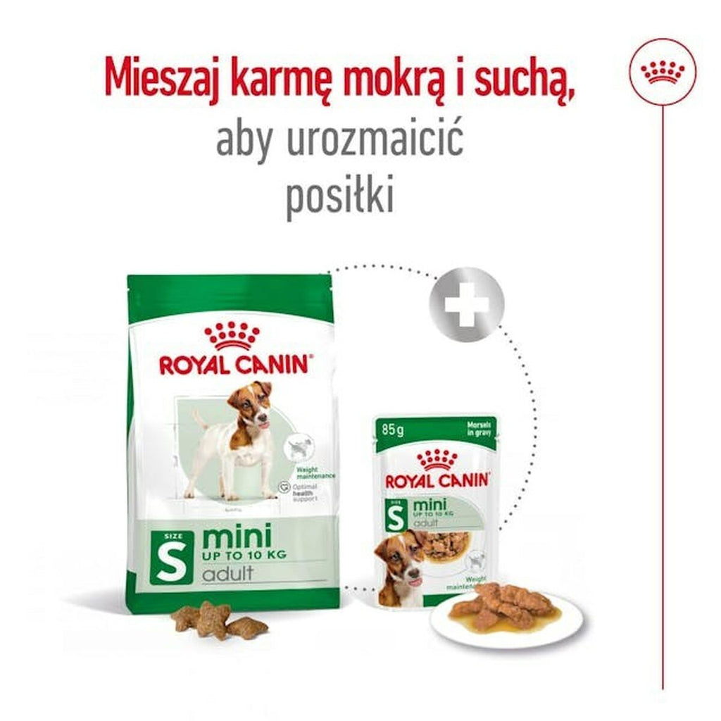 Nourriture Royal Canin Adult Mini S 8 kg