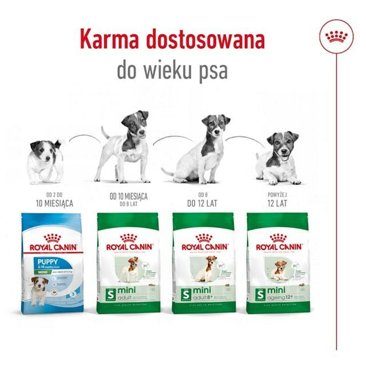 Nourriture Royal Canin Adult Mini S 8 kg