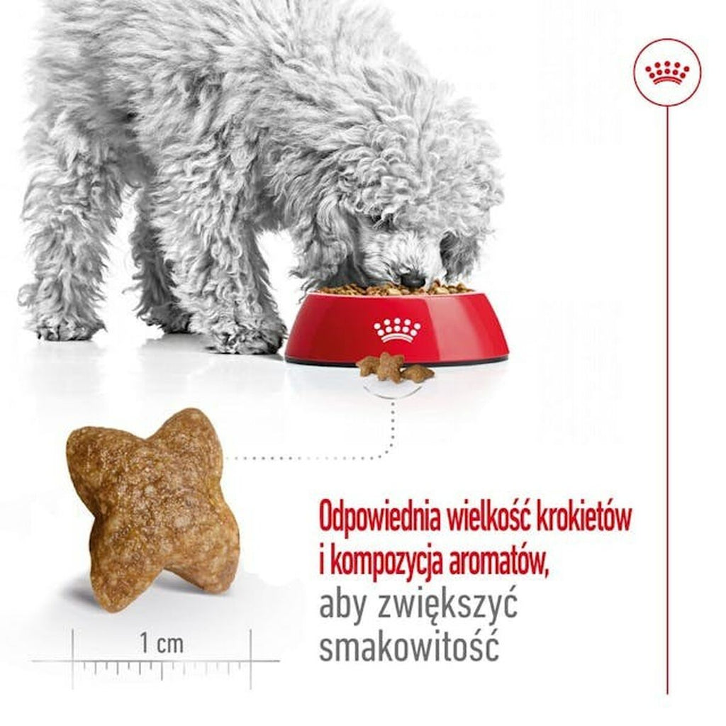 Nourriture Royal Canin Adult Mini S 8 kg
