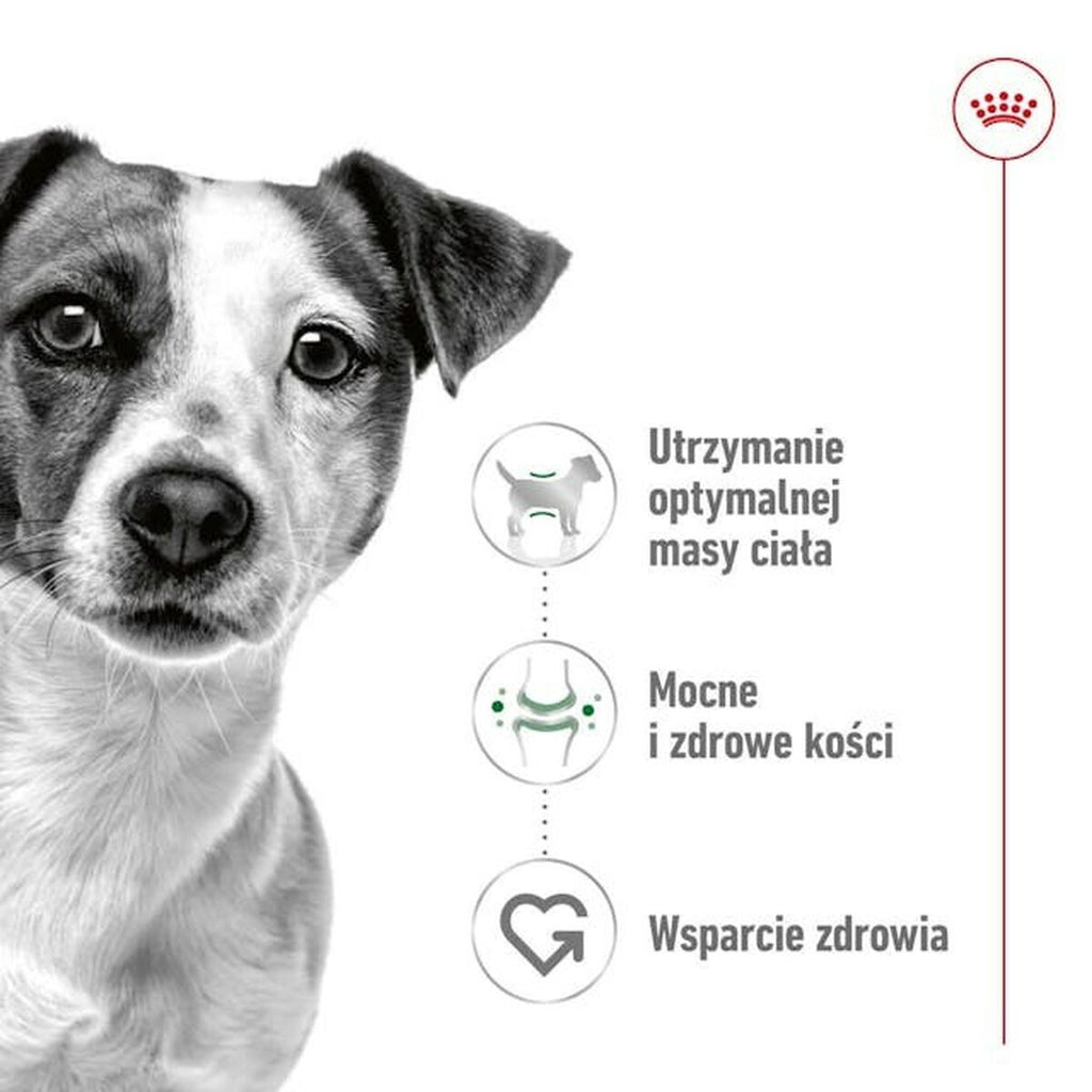 Nourriture Royal Canin Adult Mini S 8 kg