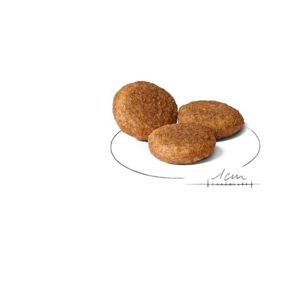 Nourriture Royal Canin 15 kg 12 kg