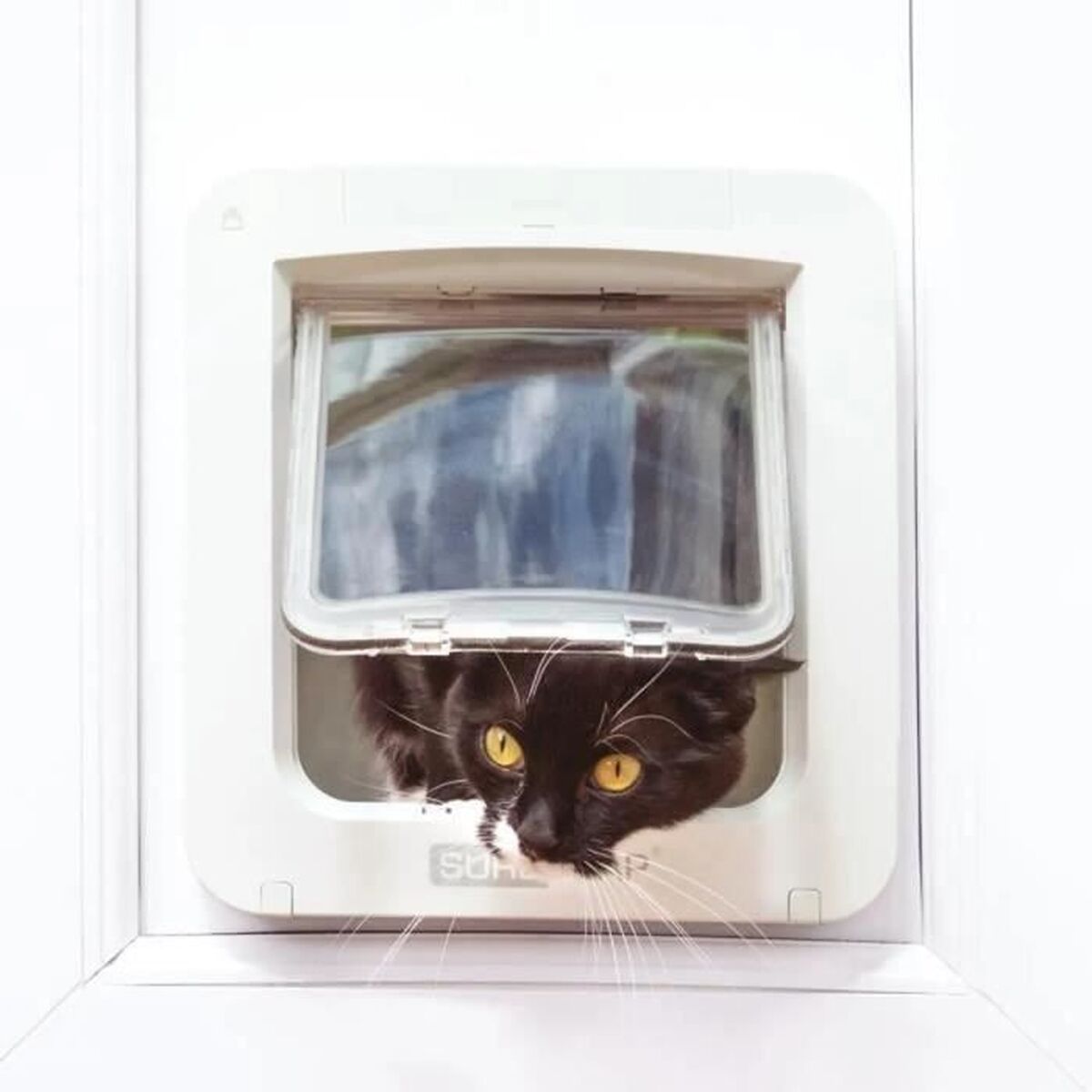 Trappe à chat SureFlap chip 70955