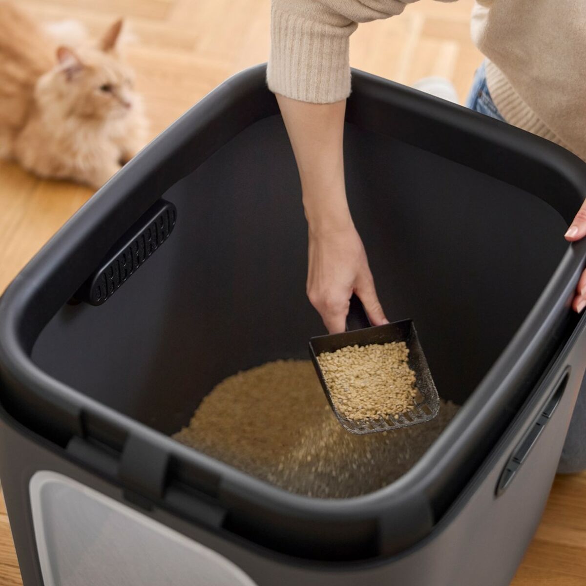 Bac à litière pour chats Rotho Biala XL anthracite Anthracite Plastique