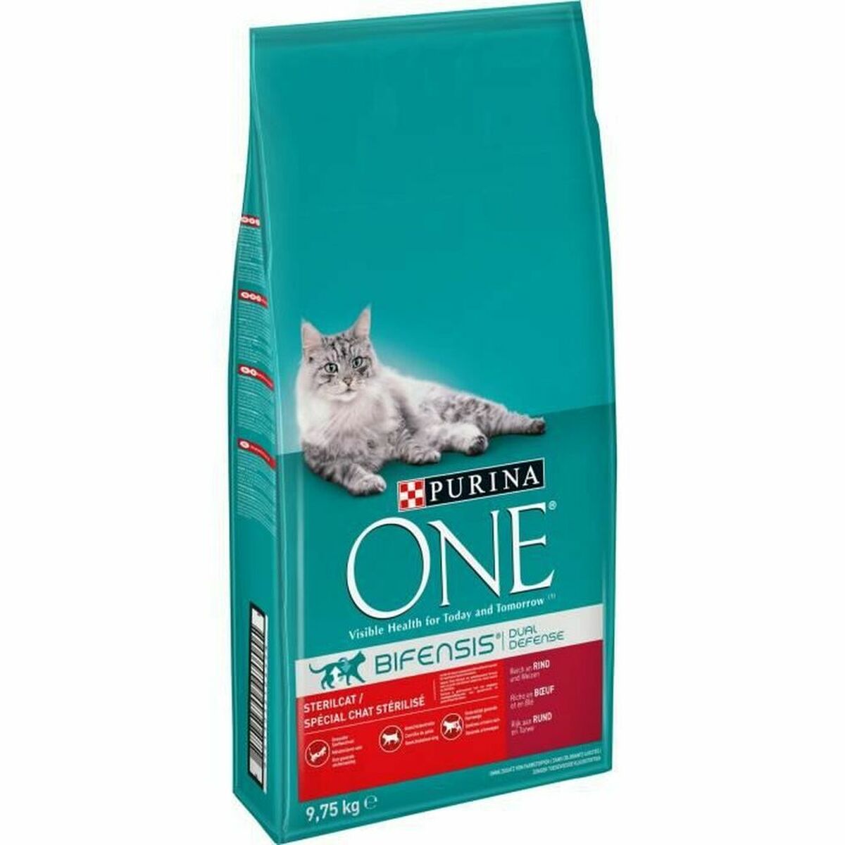 Aliments pour chat Purina Viande de bœuf