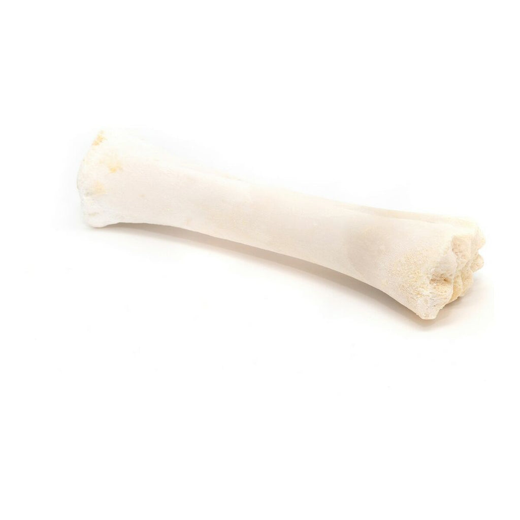 Snack pour chiens Gloria Veau Os Calcium 20 Unités