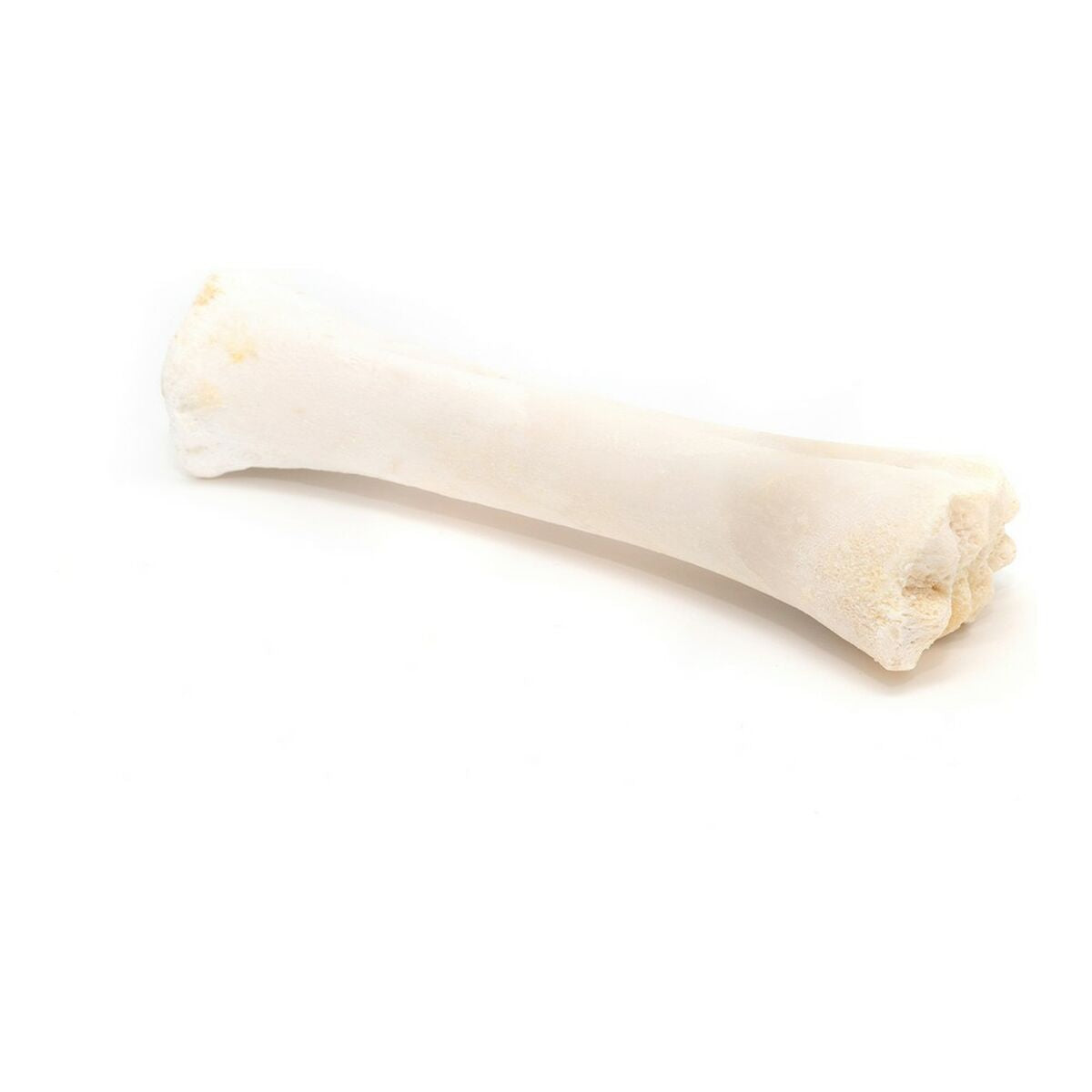 Snack pour chiens Gloria Veau Os Calcium 20 Unités