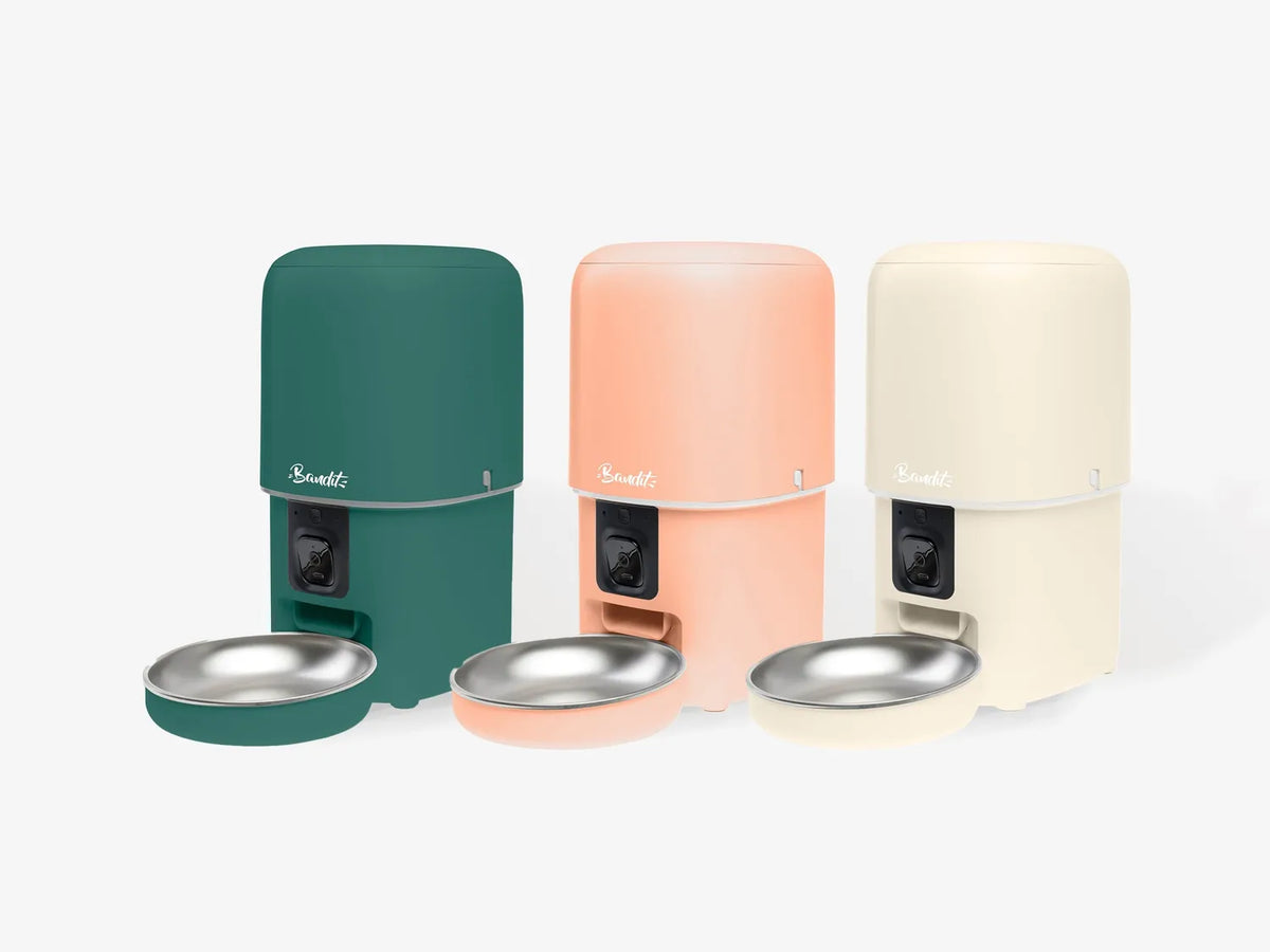 Distributeur de croquettes intelligent