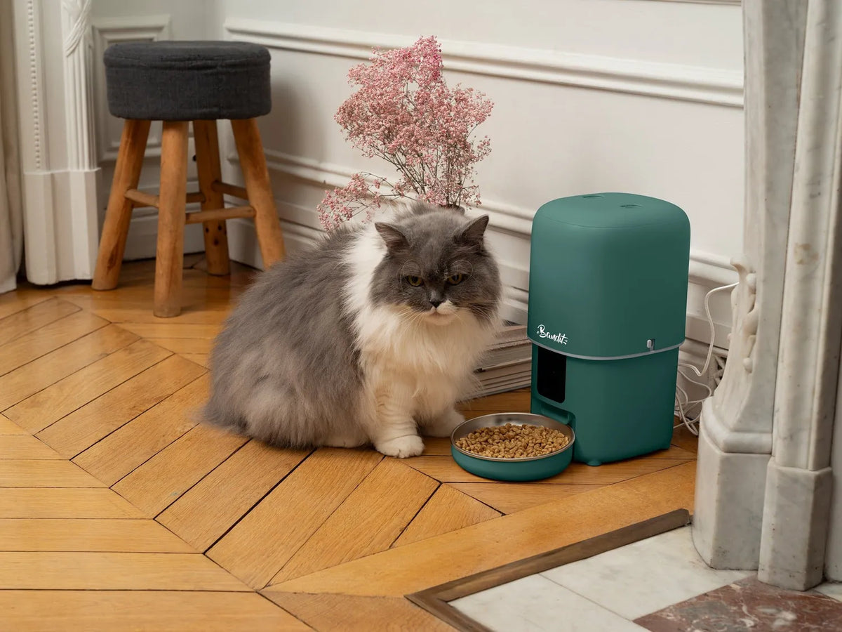 Distributeur de croquettes intelligent