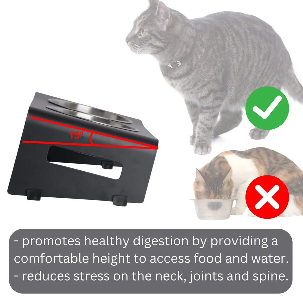 Mangeoire surélevée double PETLINUS – Inclinée 15° pour chat & petit chien